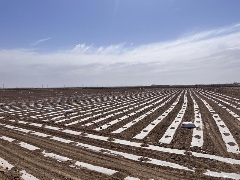 施用炭基肥土地