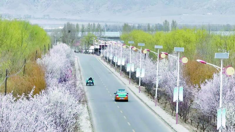 村民增收产业路