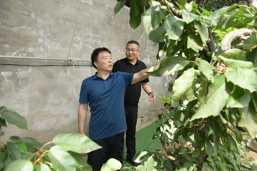微信图片_20250702211544.jpg
