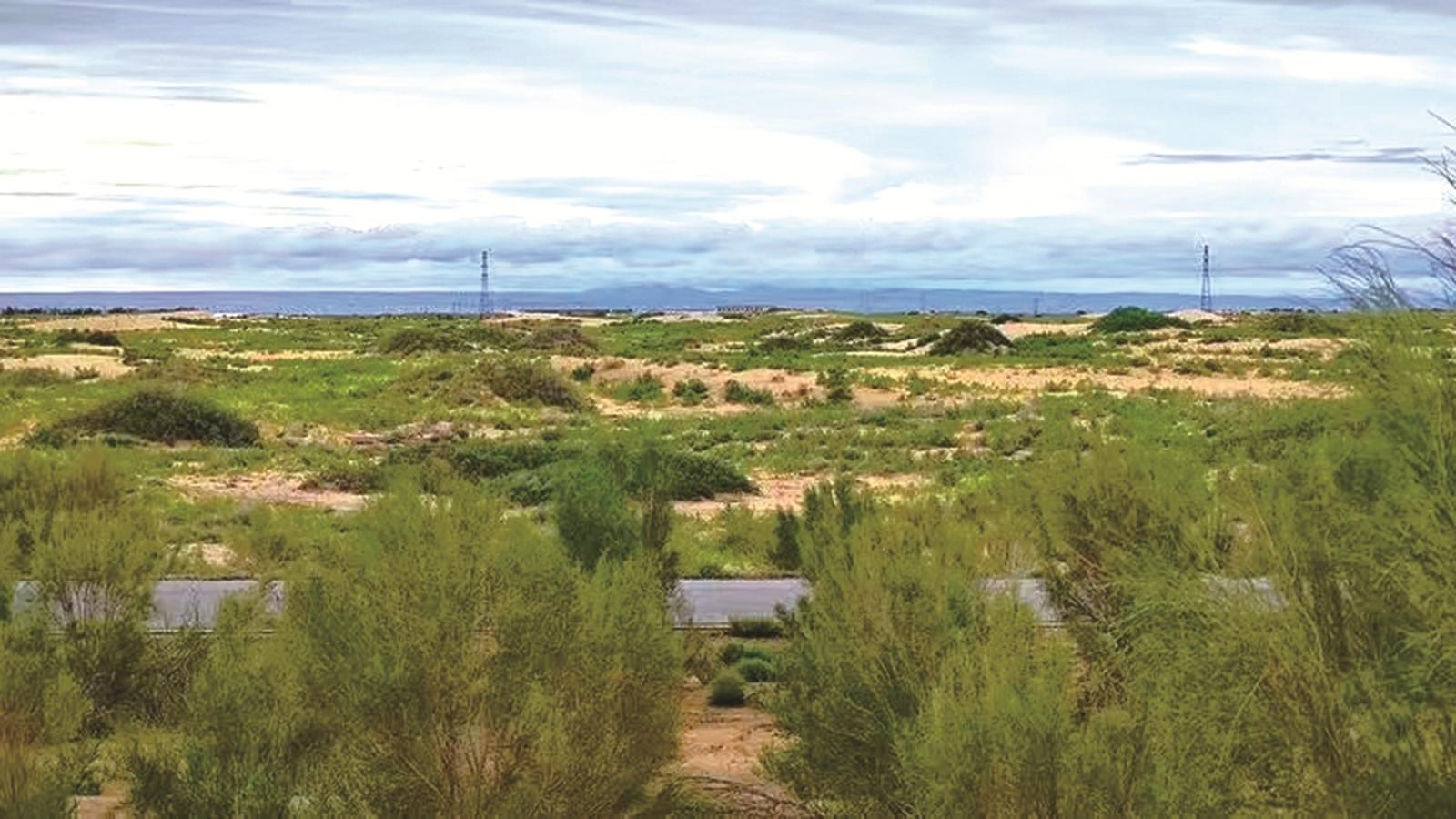 生态治理取得显著成效