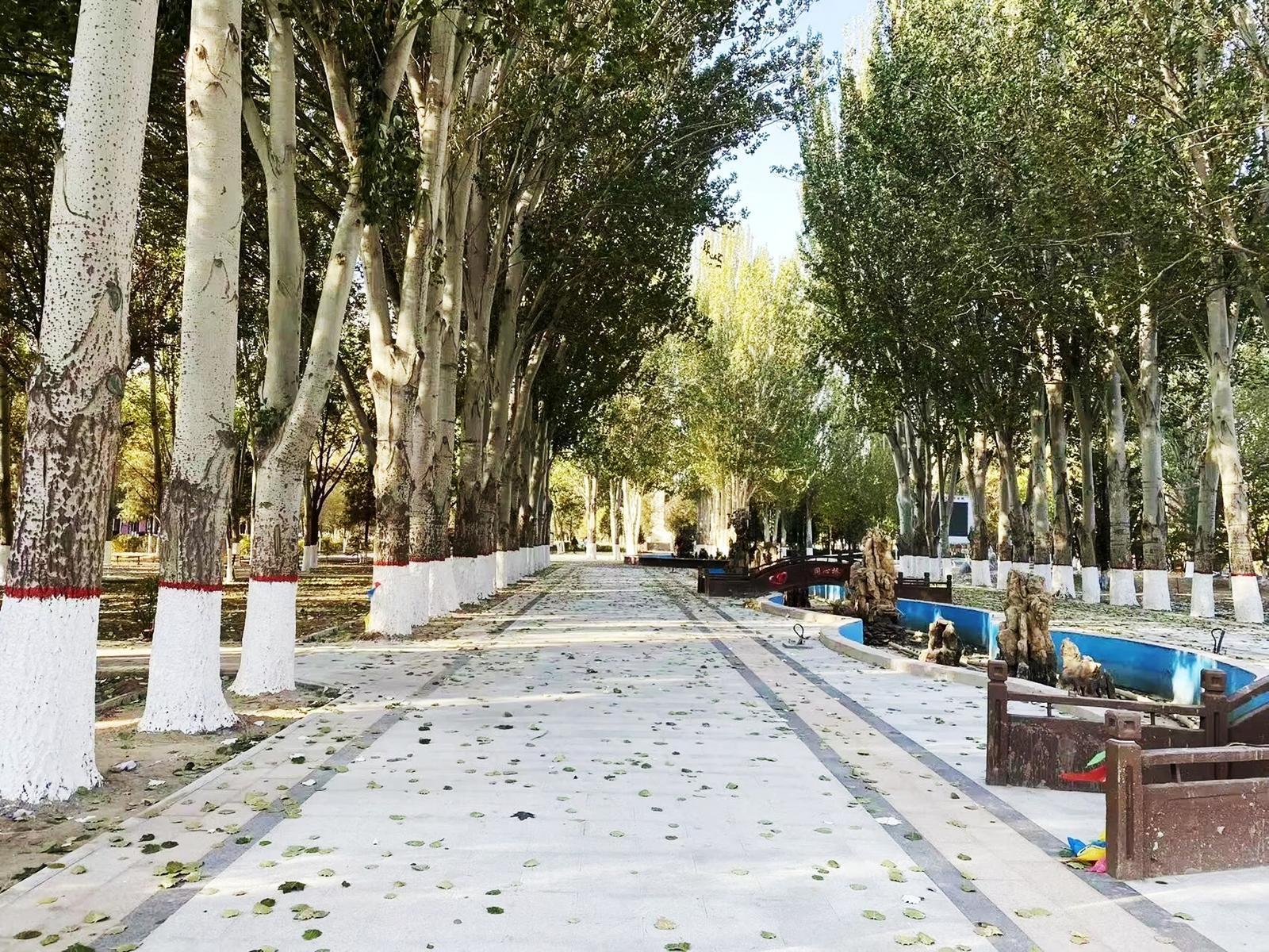 改造后的人民公园