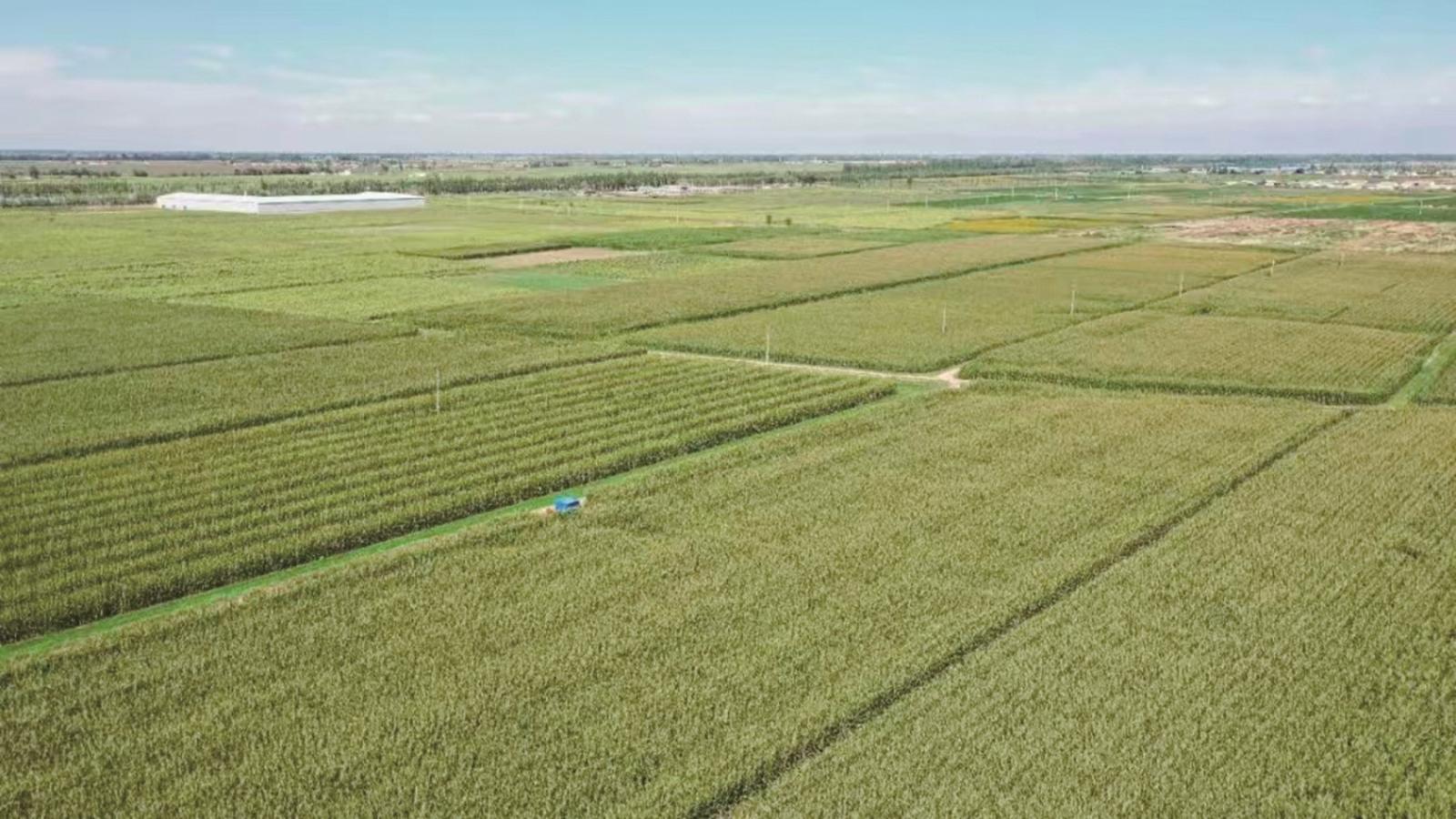 高效节水农田(资料图)