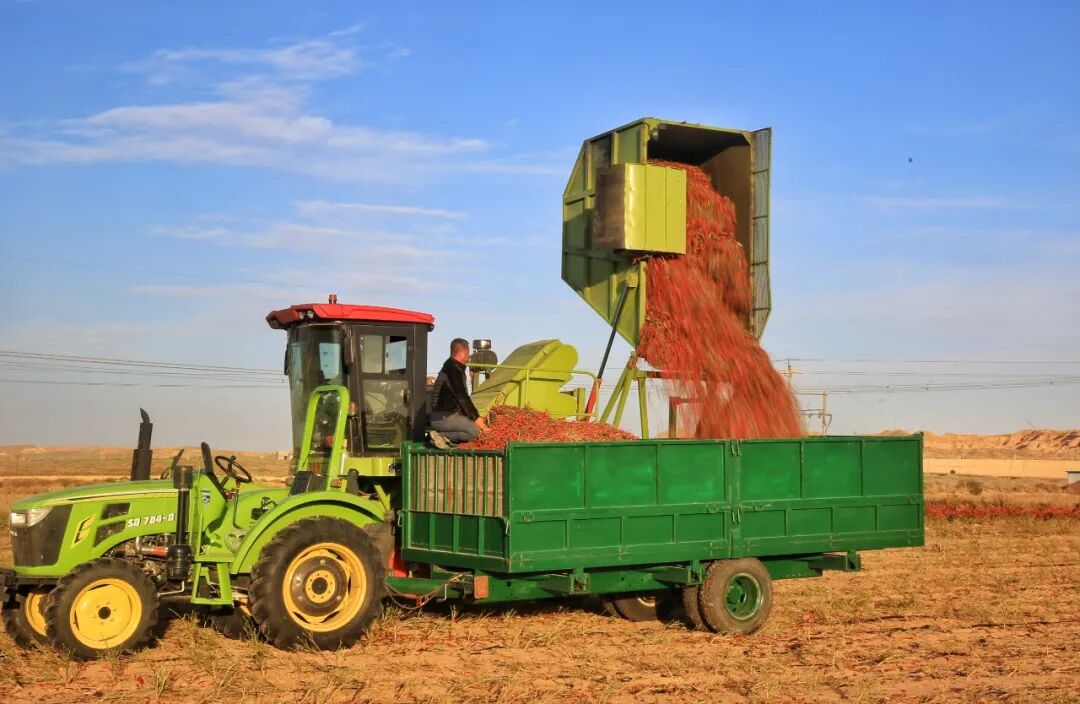 丰收 宫荫梧 摄影 (1).jpg