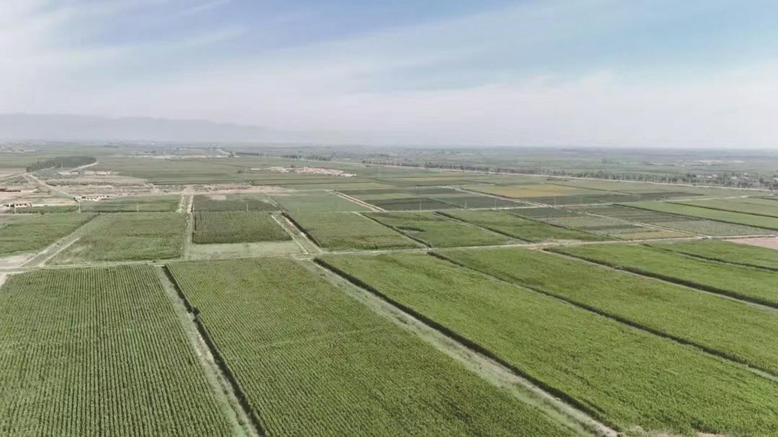 三道桥镇永进村万亩高效节水粮食产业园区(资料图)