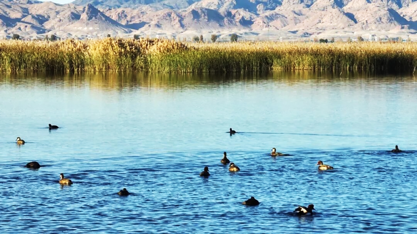 牧羊海生态公园