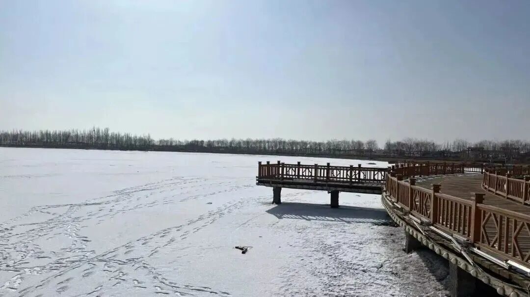 3a3af07fea40e0d3bc73ddb888e8feb9.jpg